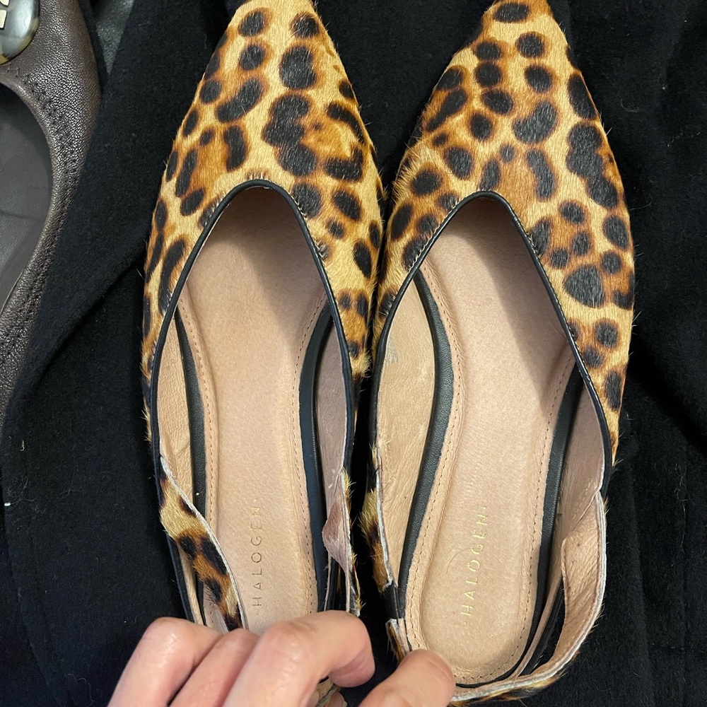 Halogen flats
